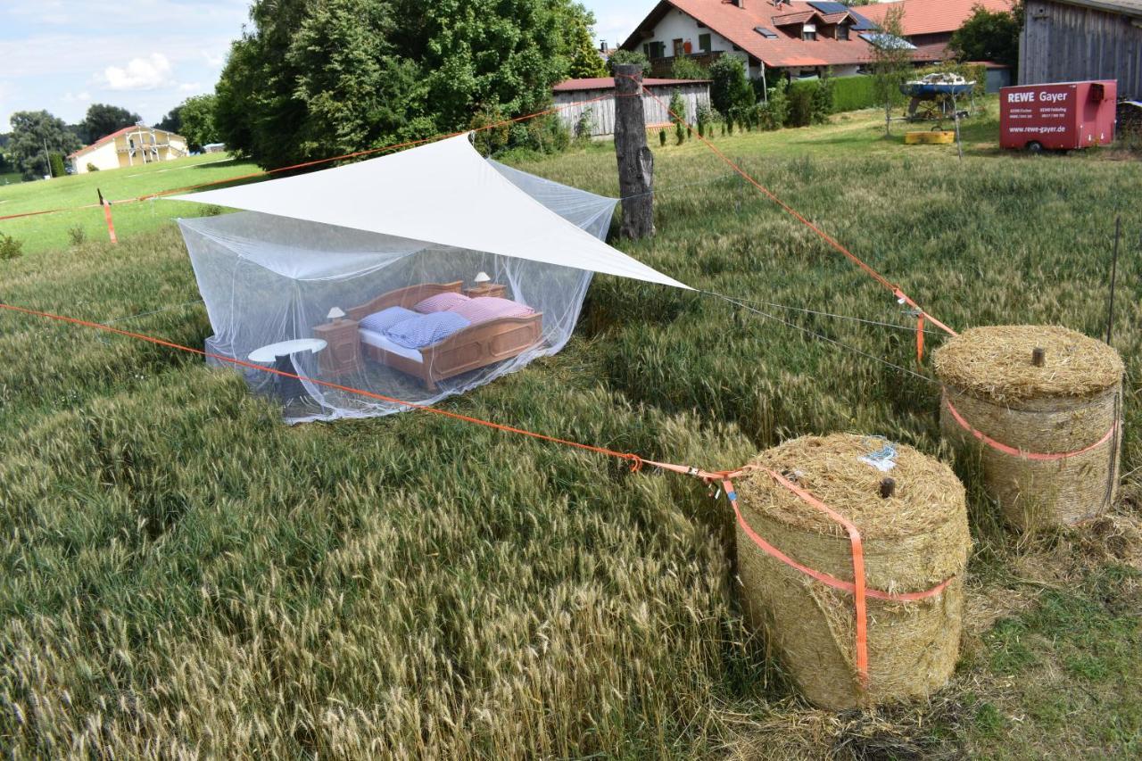 فندق Finningفي  Open Air, Bett Im Kornfeld المظهر الخارجي الصورة